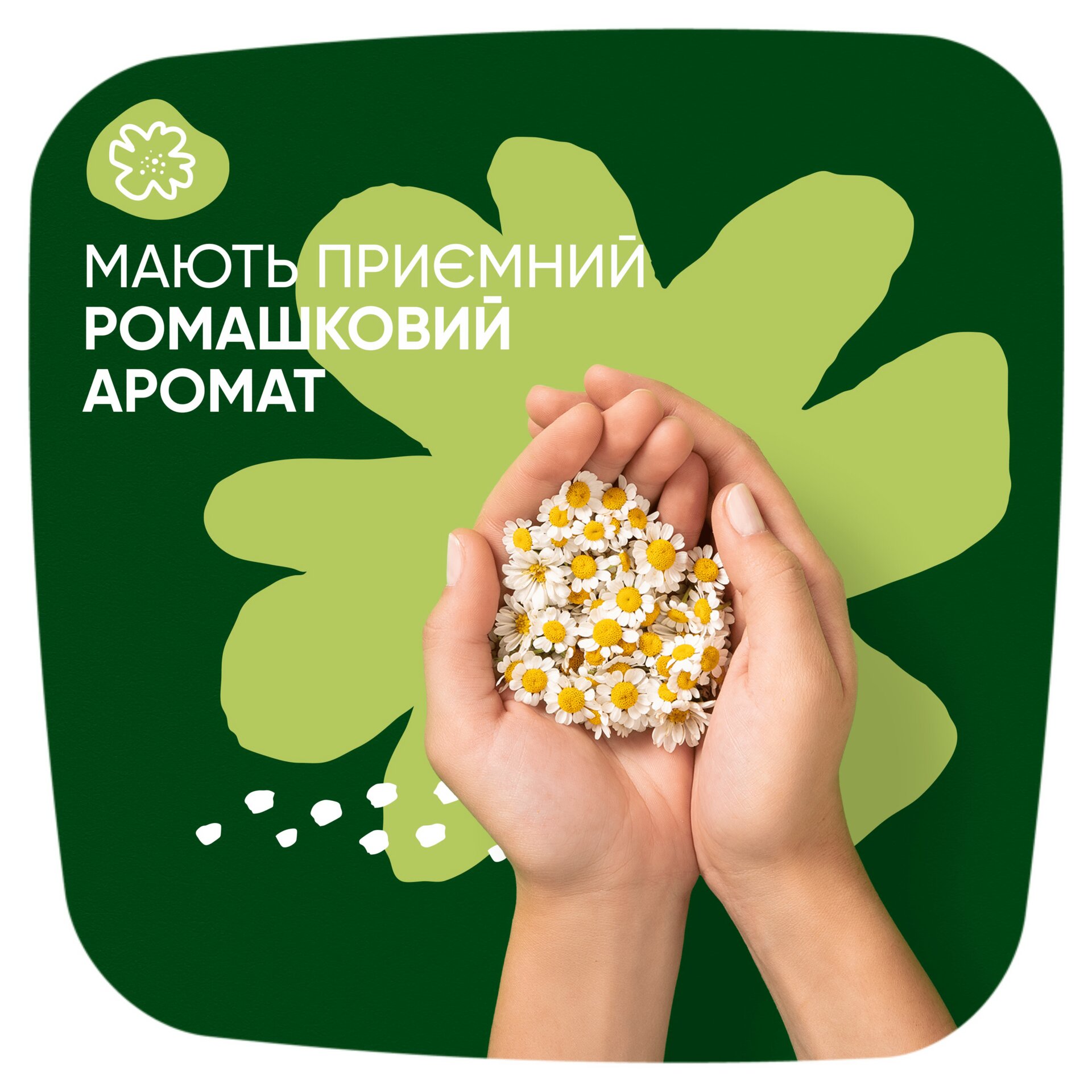 NATURELLA Ультра Жіночі гіг. прокл. ароматизовані Camomile Нічні Single 7шт